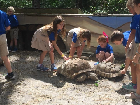 students petting tortoises